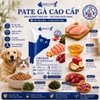 Pate Gemlucky cho chó mèo 70g - Cutepets