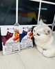 Pate Gemlucky cho chó mèo 70g - Cutepets