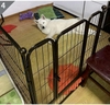 Chuồng quây ghép 6 tấm 60x70 sơn tĩnh điện dành cho chó - CutePets