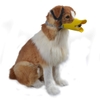 Rọ Mõm Mỏ Vịt Silicon Cho Chó – An Toàn & Ngộ Nghĩnh - Cutepets