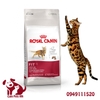 Royal Canin Fit 32 2kg - Thức ăn cho mèo trưởng thành ưa hoạt động - CutePets