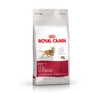 Hạt Mèo lớn Royal Canin Fit 32 2kg