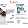 Thức ăn cho Mèo tiêu búi lông Royal Canin HAIRBALL - Cutepets