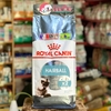 Thức ăn cho Mèo tiêu búi lông Royal Canin HAIRBALL - Cutepets
