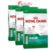 Thức ăn cho chó lớn Royal Canin Mini ADULT