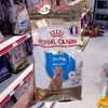 Thức ăn cho chó nhỏ Royal Canin Poodle Junior - Cutepets