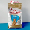 Thức ăn cho chó nhỏ Royal Canin Poodle Junior - Cutepets