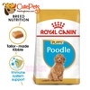 Royal Canin Poodle Junior 500g Thức ăn cho chó Poodle nhỏ - Cutepets