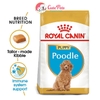 Thức ăn cho chó nhỏ Royal Canin Poodle Junior - Cutepets