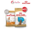 Thức ăn cho chó nhỏ Royal Canin Poodle Junior - Cutepets