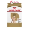 Thức ăn cho chó lớn Royal Canin Poodle Adult