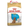 Thức ăn cho chó nhỏ Royal Canin Poodle Junior - Cutepets