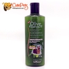 Sữa tắm Olive Essence 450ml Cho chó mèo Từ thiên nhiên - Cutepets