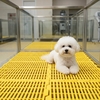 Tấm lót sàn vàng 40x55cm siêu bền lót chuồng chó, lợn - Cutepets