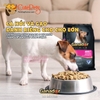 Thức ăn cho chó Ganador Adult 400g Vị cá hồi - CutePets