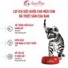 Hạt mèo con Royal Canin Kitten 36 Thức ăn cho mèo Từ 4-12 Tháng Tuổi - Cutepets