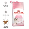 Hạt mèo con Royal Canin Kitten 36 Thức ăn cho mèo Từ 4-12 Tháng Tuổi - Cutepets