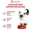 Hạt mèo con Royal Canin Kitten 36 Thức ăn cho mèo Từ 4-12 Tháng Tuổi - Cutepets