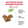 Hạt mèo con Royal Canin Kitten 36 Thức ăn cho mèo Từ 4-12 Tháng Tuổi - Cutepets