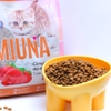 Thức ăn cho mèo con MIUNA kitten vị cá ngừ - Cutepets