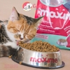 Thức ăn mèo Maxime 400g Hạt cho mèo mọi lứa tuổi - Cutepets