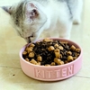 Thức ăn mèo hạt Mister Donut T 1.8kg - Cutepets