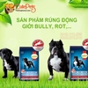 Smart Heart Power Pack puppy 20kg phát triển cơ bắp dành cho cho con - CutePets