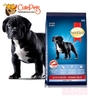 Smart Heart Power Pack puppy 20kg phát triển cơ bắp dành cho cho con - CutePets