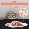 Thức ăn ướt cho mèo Nutri Plan Dish lon 85g Pate mèo cao cấp Hàn Quốc - Cutepets