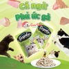 Thức ăn ướt cho mèo Regalos 70g Pate mèo dạng sốt - CutePets