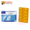 Thuốc bổ xung Canxi và khoáng chất Virbac Calci Delice cho thú cưng - CutePets