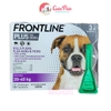 [1 Tuýp] Thuốc nhỏ gáy trị ve rận Frontline Plus cho chó mèo - Cutepets