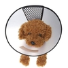 Vòng chống liếm - Loa chống liếm cho thú cưng – CutePets