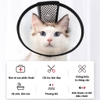 Vòng chống liếm - Loa chống liếm cho thú cưng – CutePets