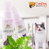 Catnip dạng chai xịt 50ml Dành cho mèo trưởng thành - CutePets