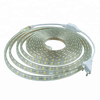 day-den-hac-mau-xanh-duong-10mm-2-hang-led-cuon-100m