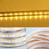 day-den-hac-mau-xanh-duong-10mm-2-hang-led-cuon-100m