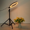 den-led-ring-m-45-45cm-lon