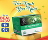 Trà xanh hoa nhài hộp 30 Túi Lọc x 3Gram chống lão hóa, ổn định huyết áp, giảm cân, đẹp da
