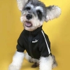 Áo khoác nỉ Sweater bóng chày có khóa kéo in chữ sành điệu cho chó,  mèo, thú cưng