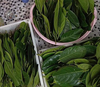 100g Lá mít tươi lợi sữa, làm bánh sẵn vườn nhà