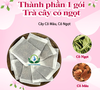 Trà Cây Cỏ Máu hộp 30 túi lọc 3Gr giúp Tăng Cân, bồi bổ khí huyết