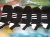 Tất nam nữ cổ ngắn cotton dày thun ôm chân cực ấm