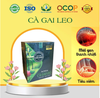 Trà Cà Gai Leo hộp 30 túi lọc 5 gr thải độc - mát gan