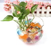 Túi 50g hạt nở hạt tinh thể trồng cây thủy sinh trang trí nhà cửa, đồ chơi đạn nước cho bé