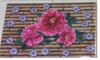 Thảm lau chùi chân họa tiết 3D siêu thấm 40 x 60
