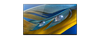 Android Tivi OLED Sony 4K 55 inch XR-55A80J