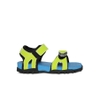 Puma Green & Blue Sports