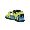 Puma Green & Blue Sports