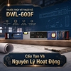 Thước Đo Cân Bằng Chính Hãng, Đo Chuẩn Dễ Dùng